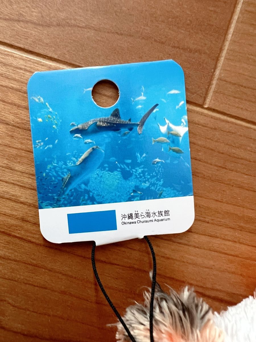 沖縄美ら海水族館 オリジナルぬいぐるみマスコット ジンベエザメ