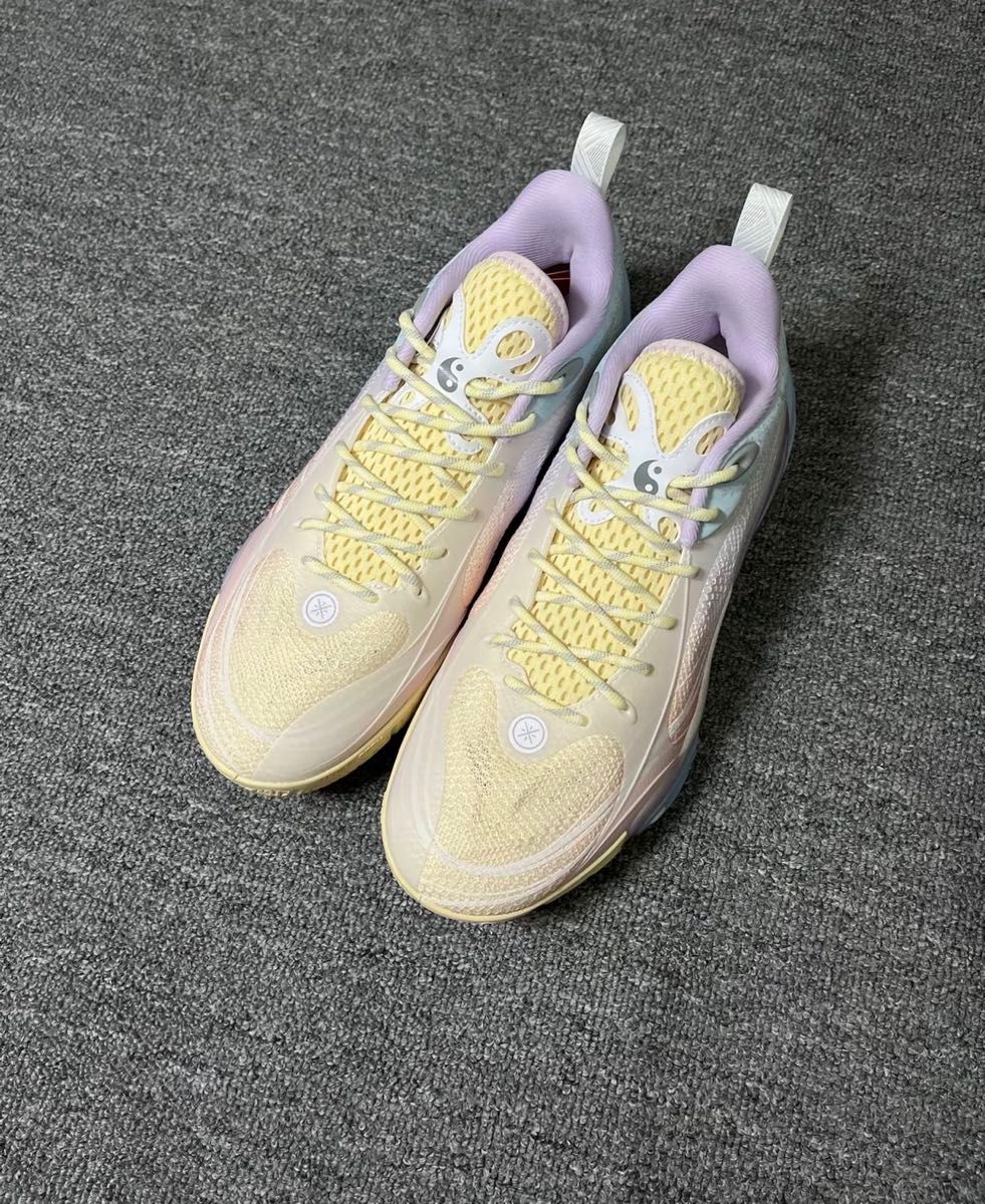 LINING Wade Dlo1 キャンプ リーニン ウエイト バスケットシューズ