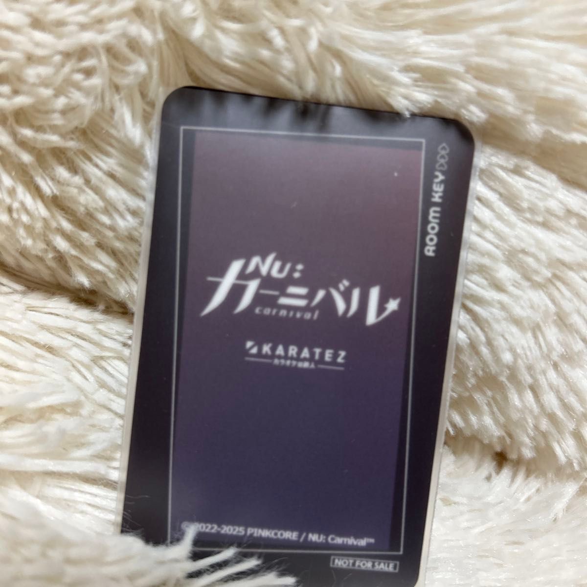 nuカーニバル カラ鉄 特典 ルームキー レイ｜Yahoo!フリマ（旧PayPay