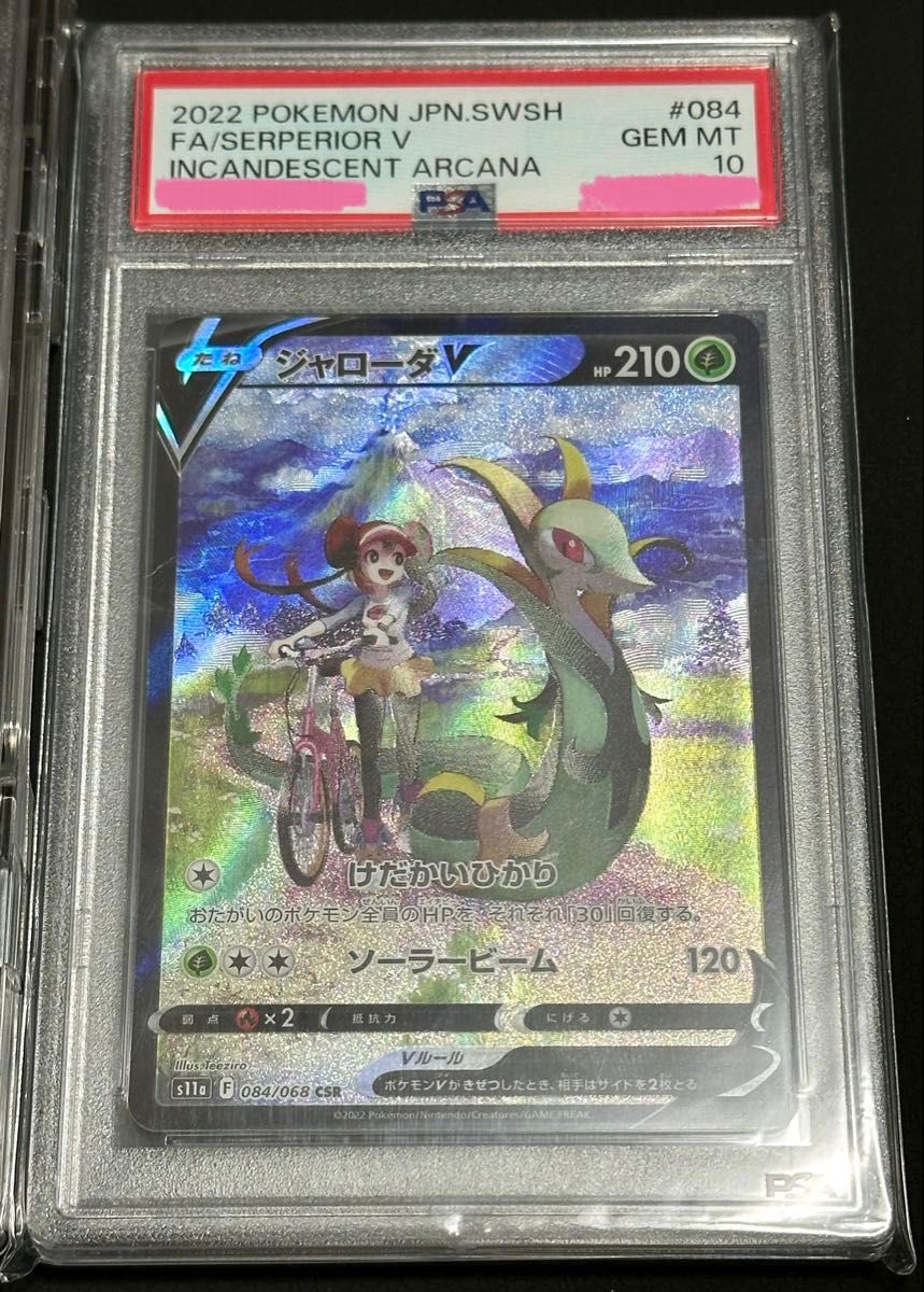 PSA10 ポケモンカード メイ SR ジャローダV SAR 2枚セット｜Yahoo