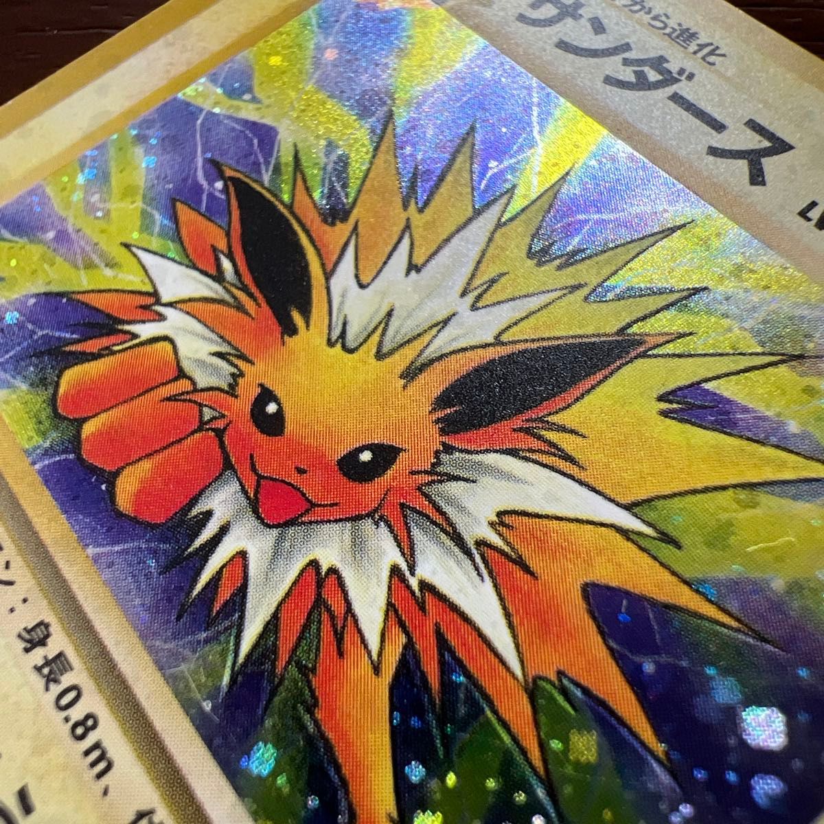 全面ホロ サンダース ポケモンカード 旧裏面 旧裏 キラ ポケモンカード