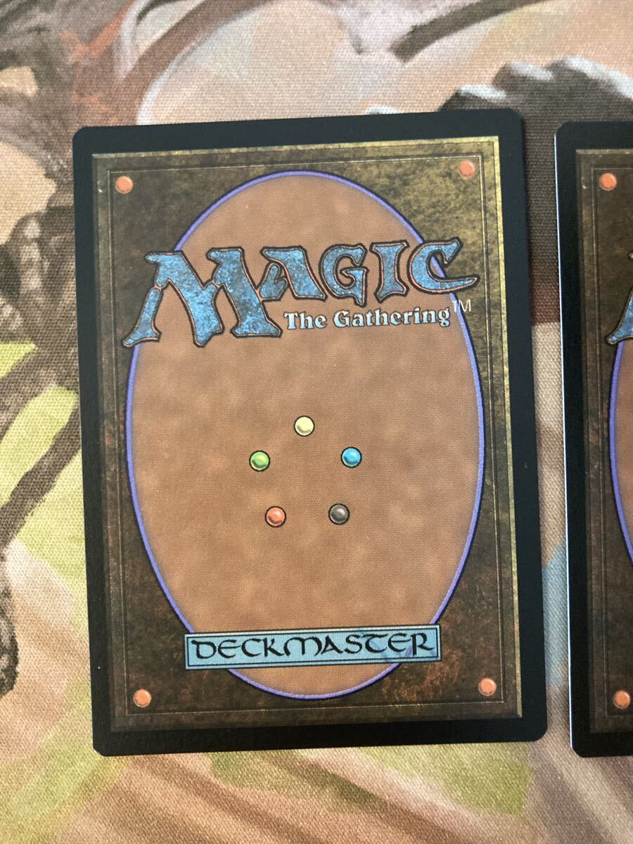 SLD 沼 swamp FOIL 2枚セット secret lair 539 フォイル MTG 英語