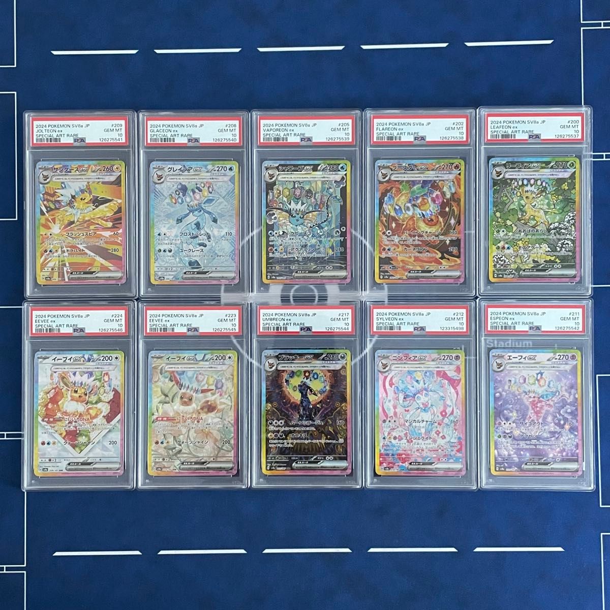 PSA10】ブイズ SAR 10枚セット【ポケモンカード】テラスタルフェスex