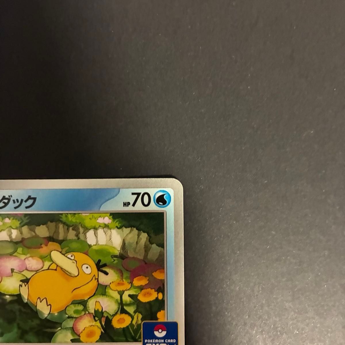 ポケカ コダック しめりけ 1枚 262/SV-P ジムプロモ PROMO ポケモン