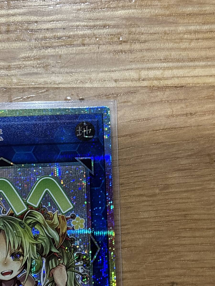 即決送料込 新品 セラの蟲惑魔 LIMITED PACK -STAMP EDITION- スタンプ