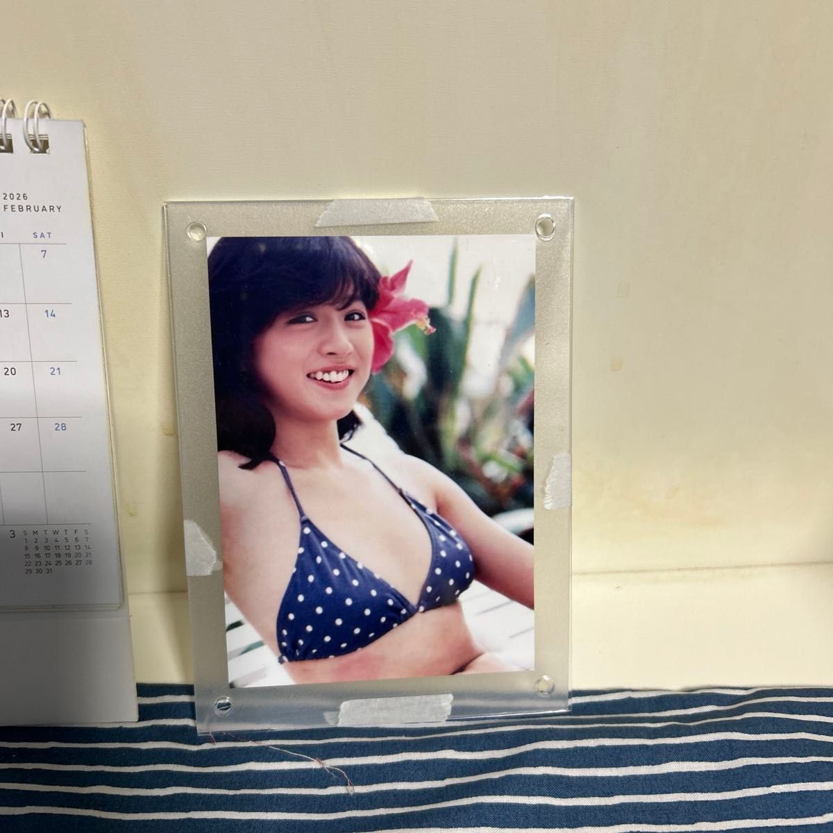 中森明菜】L版フォトフレームと2026年卓上カレンダー2点セット(オマケ