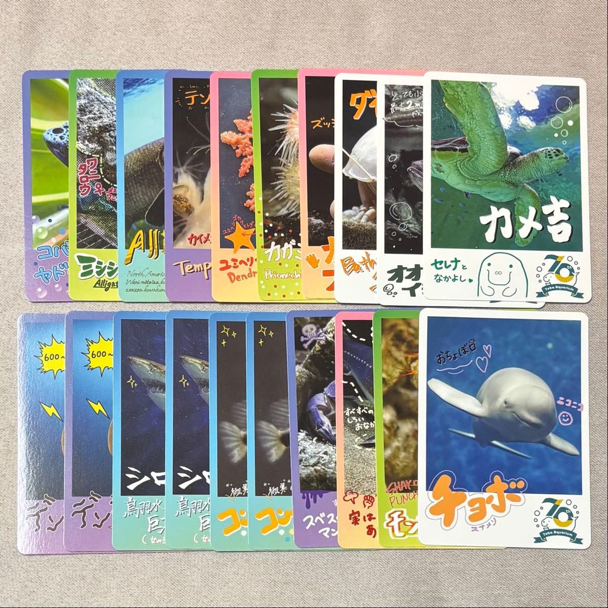 鳥羽水族館 コレクションカード とばすい コレカ トレカ スナメリ カメ