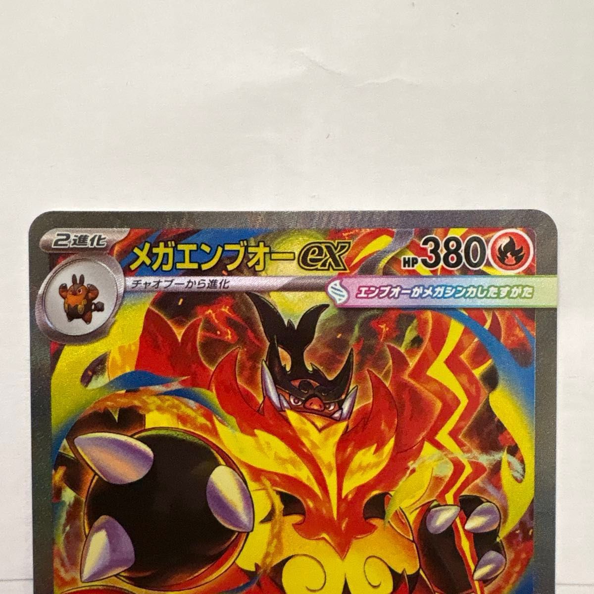 スタートデッキ 101 メガメガニウム メガオーダイル メガエンブオー3枚