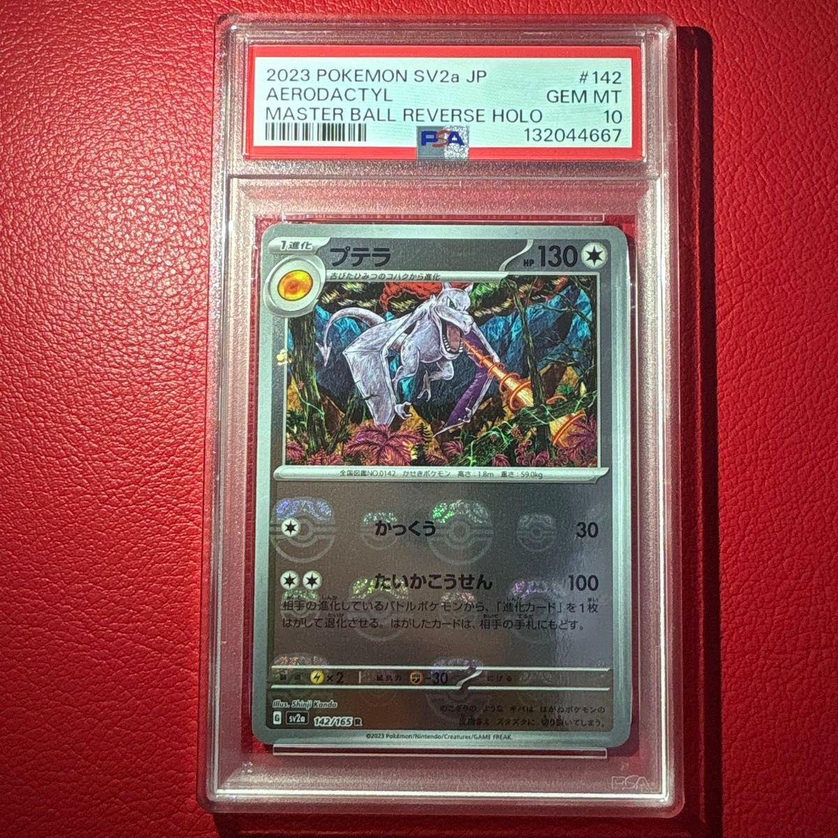 カンダシンジさんデザイン プテラ PSA10 マスターボールミラー仕様