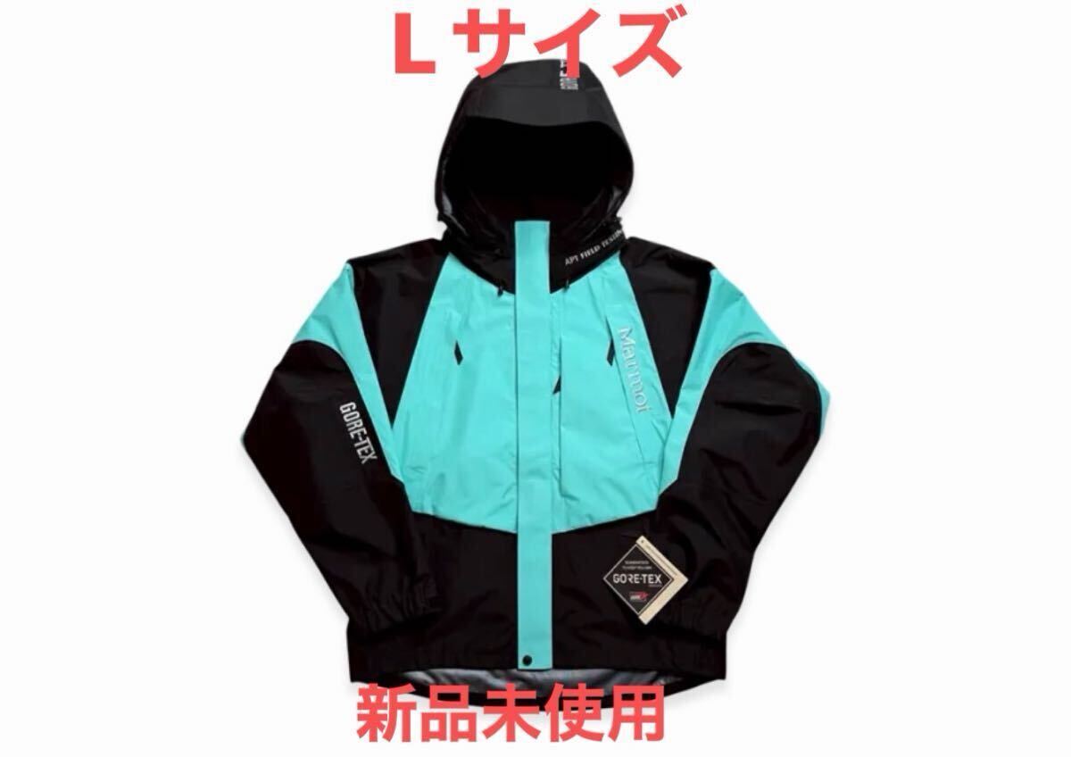 定価以下 Lサイズ 新品未使用 STABRIDGE × Marmot GORE-TEX 3L