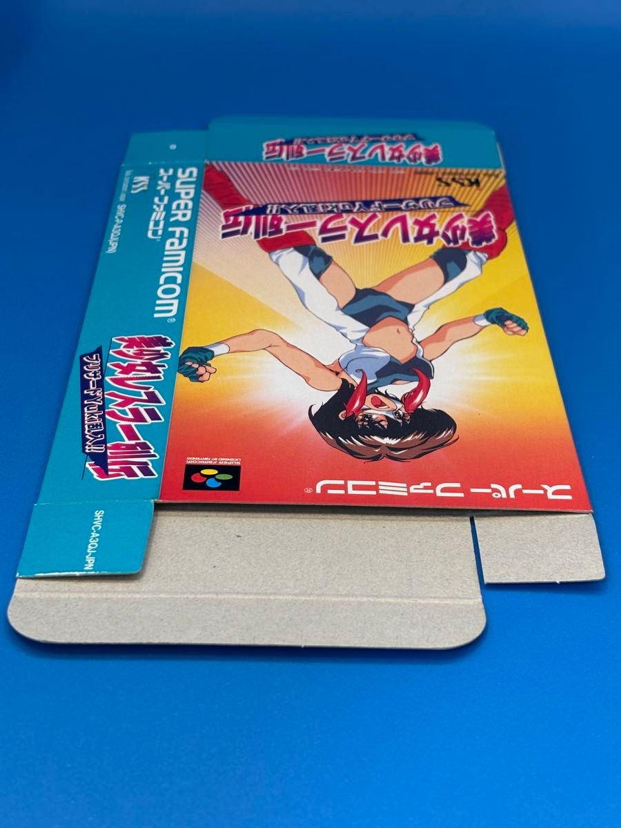 状態良】スーパーファミコン 美少女レスラー列伝 ブリザードYuki乱入