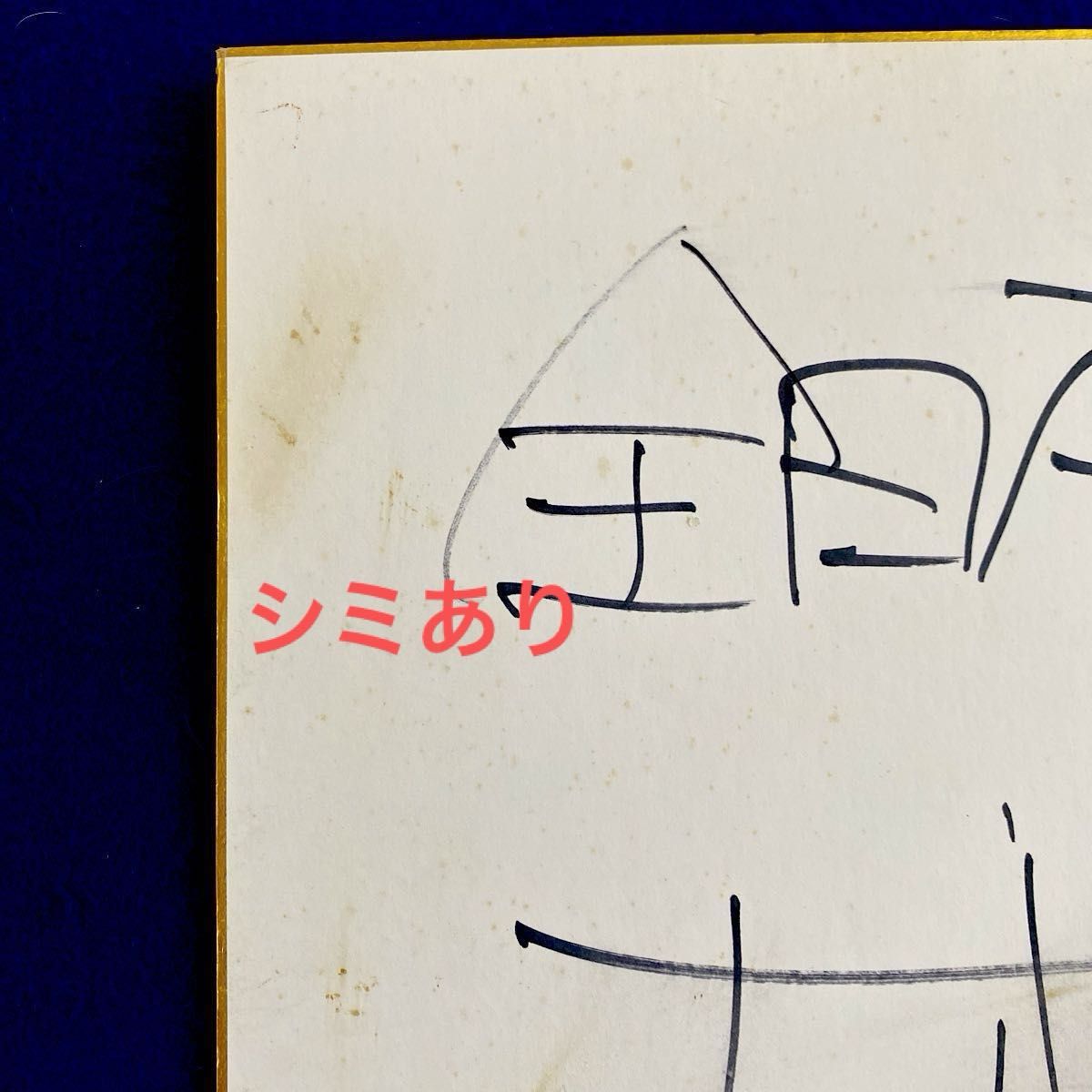 全日本男子バレー 石川祐希選手 直筆サイン 色紙 ネイションズリーグ