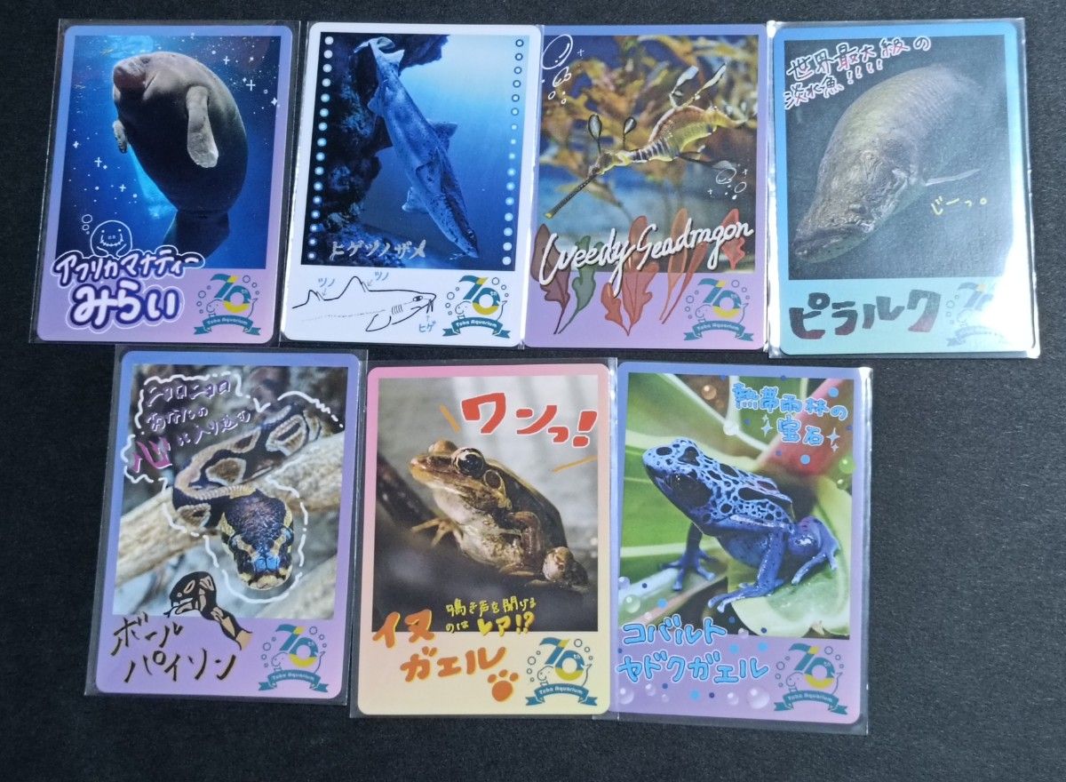 mashiro様専用 7枚 鳥羽水族館 創立 70周年 記念 コレクション カード