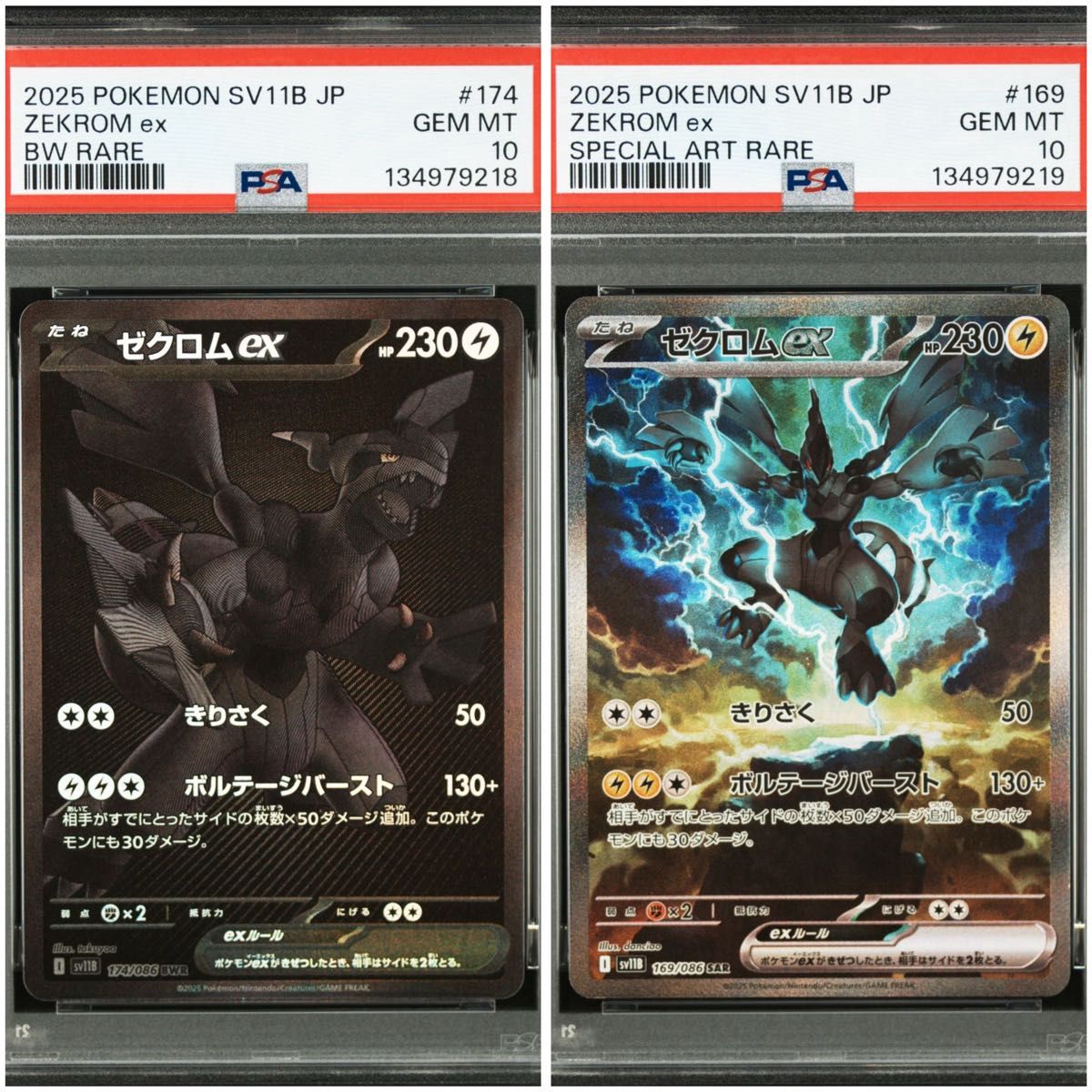 ポケモンカード PSA10 ゼクロム 連番｜Yahoo!フリマ（旧PayPayフリマ）