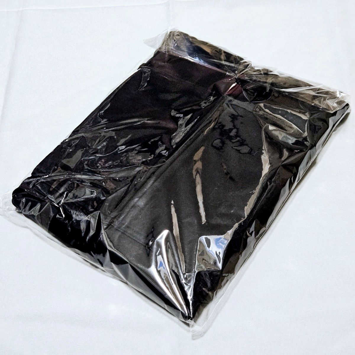 MICHAEL SCHENKER GROUP 2026ジャパンツアーパーカー｜Yahoo!フリマ