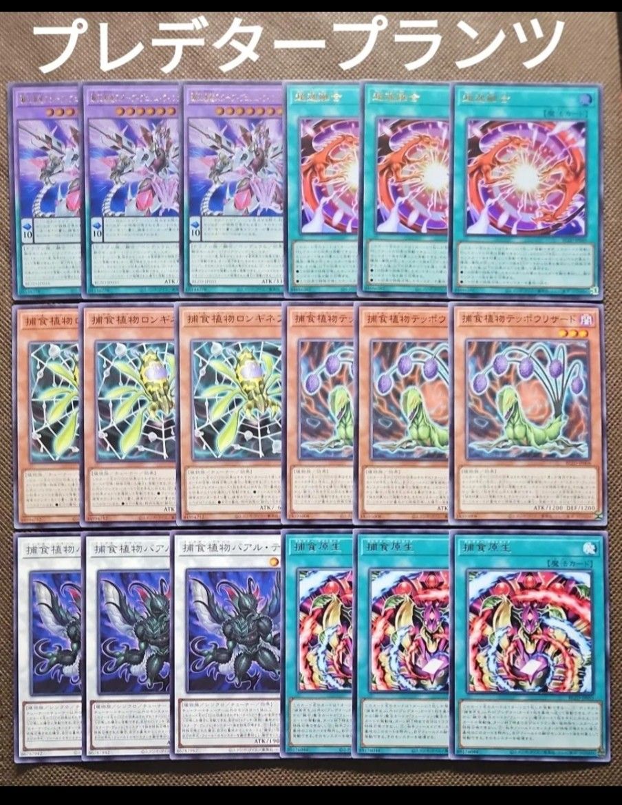 遊戯王 捕食植物 プレデター・プランツ デッキパーツ 6種18枚セット