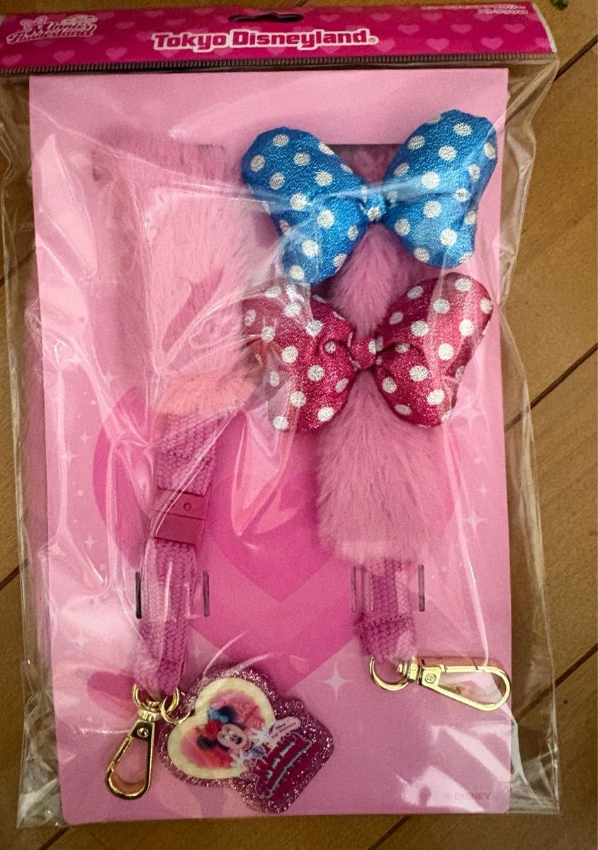 ディズニー パルパルーザ 2026 ミニー ファンダーランド