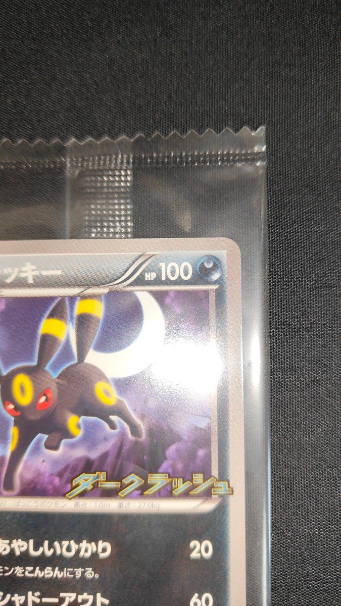 ポケモンカード ブラッキー ダークラッシュ 115/BW-P プロモ 未開封