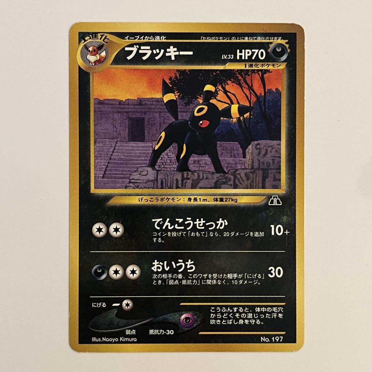 PSA9 ブラッキー neo プレミアムファイル2｜Yahoo!フリマ（旧PayPay