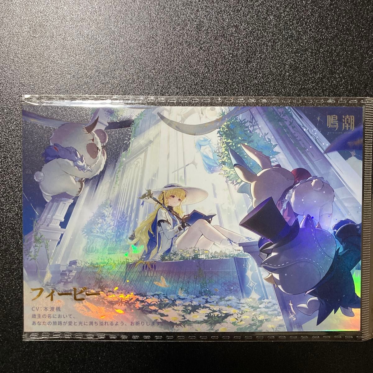 非売品】鳴潮 POPUPイベント 大阪クルーズ フィービー 乗船チケット