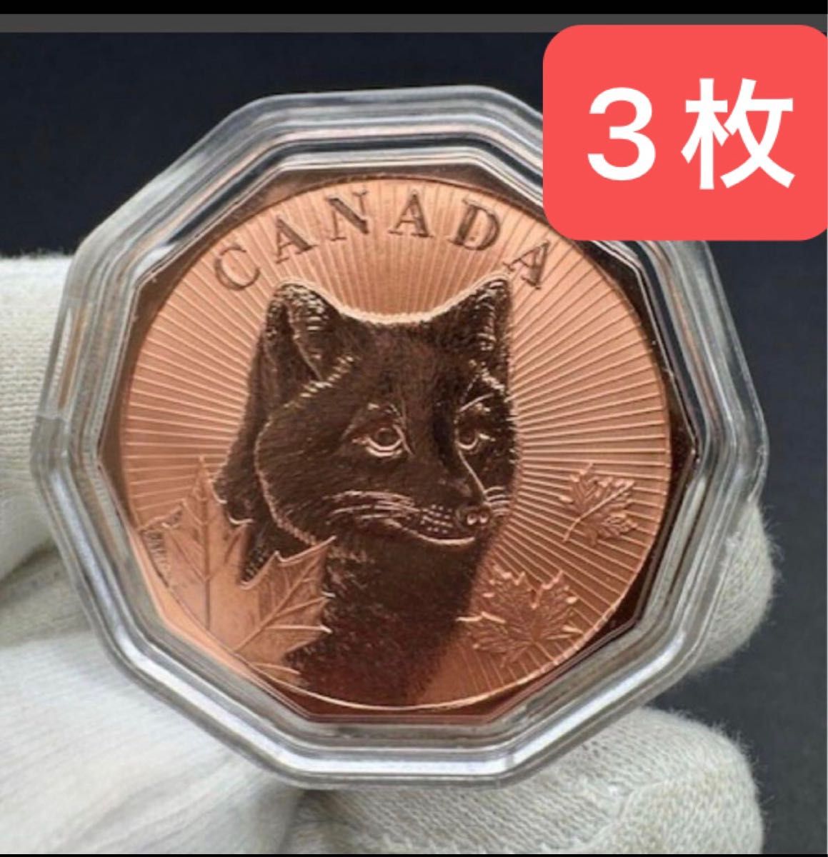 限定1000枚】Save the Arctic Fox Kanken 純銅 1oz 六角形コイン（無