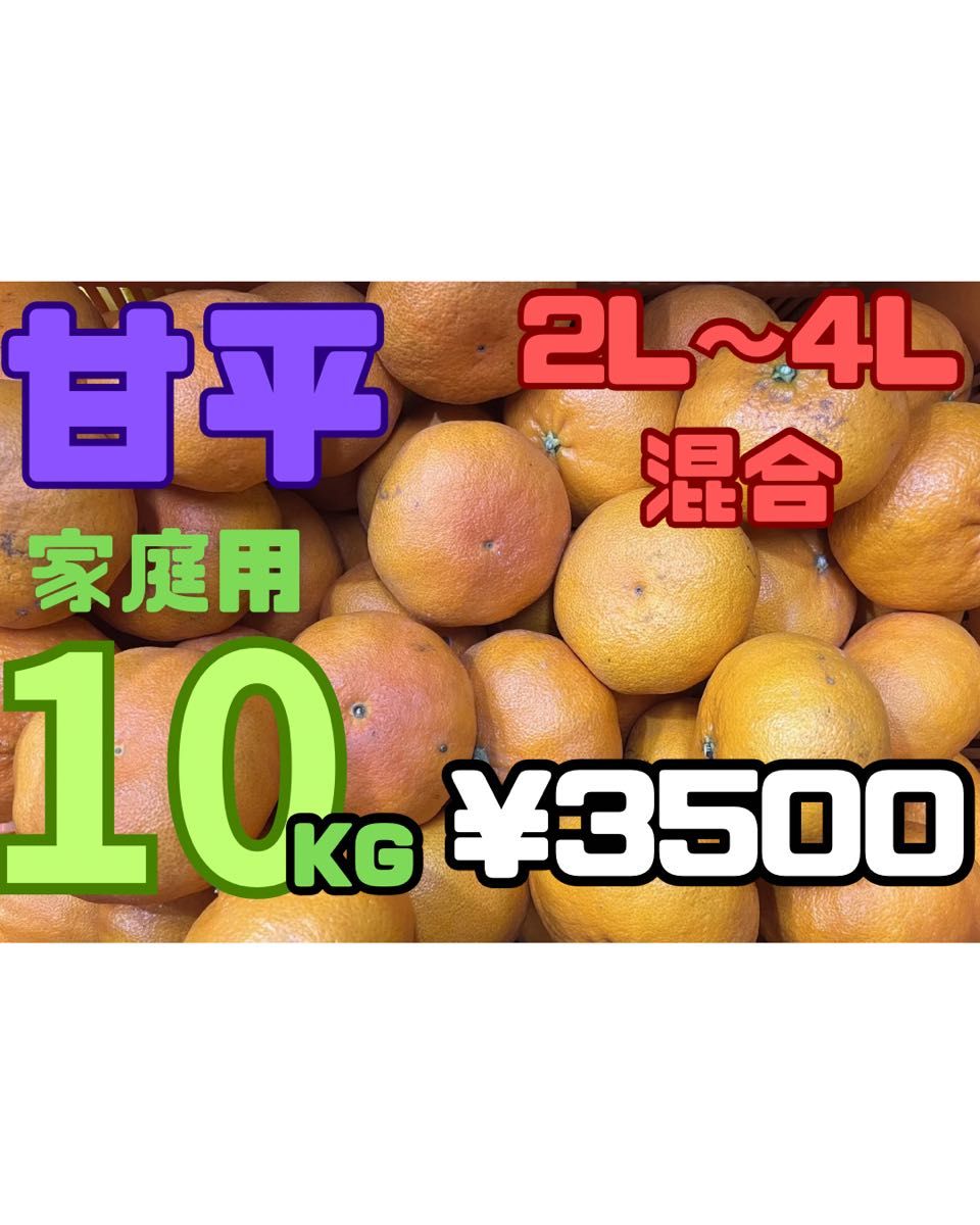 甘平 10キロ かんぺい 愛媛 家庭用｜Yahoo!フリマ（旧PayPayフリマ）