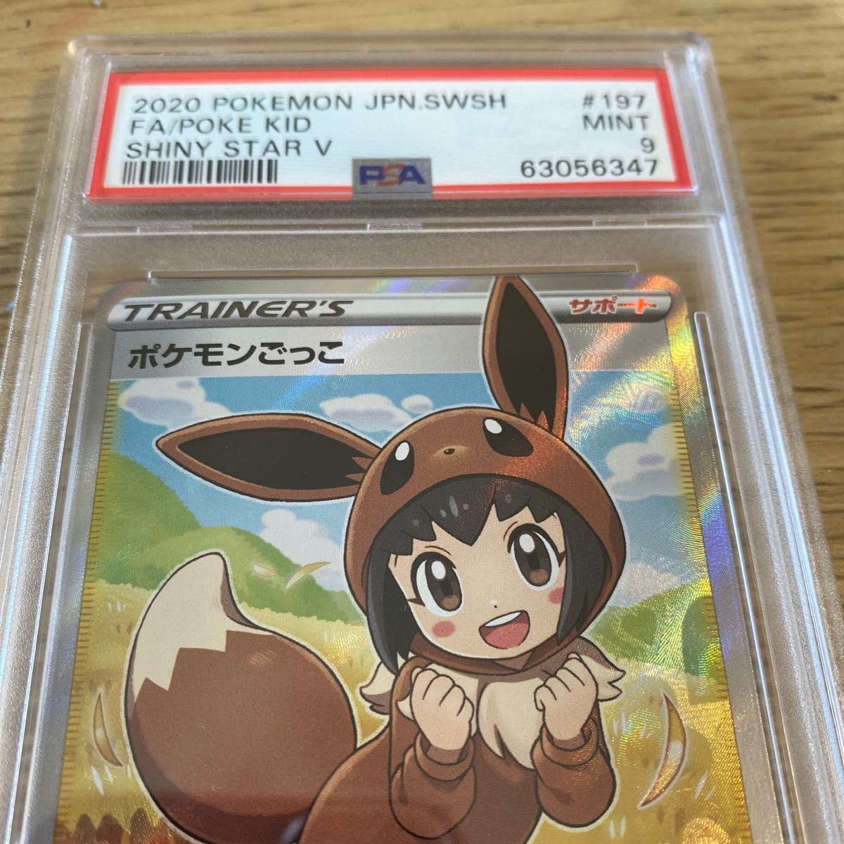 ポケモンごっこP9｜Yahoo!フリマ（旧PayPayフリマ）