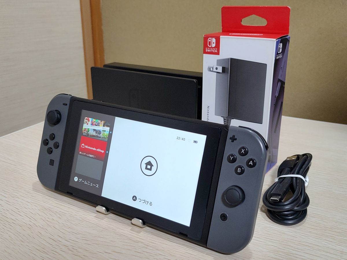 Nintendo Switch 本体 ドッグ付き 動作確認 ACケーブ 最短翌日お届け