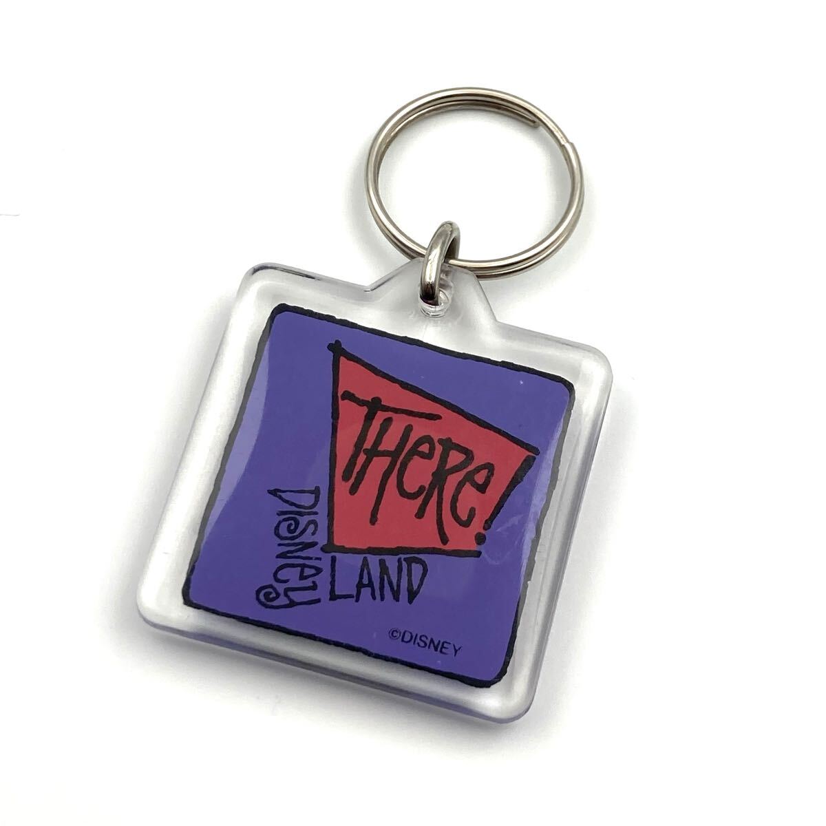 1993 ビンテージ DISNEY ディズニー GRAD NITE グラッドナイト STUSSY