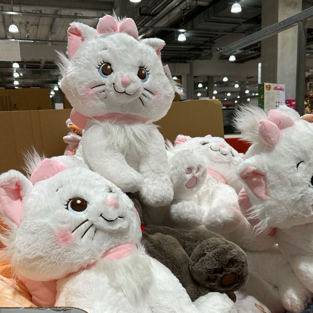 新品BIGマリーちゃんぬいぐるみディズニーおしゃれキャット