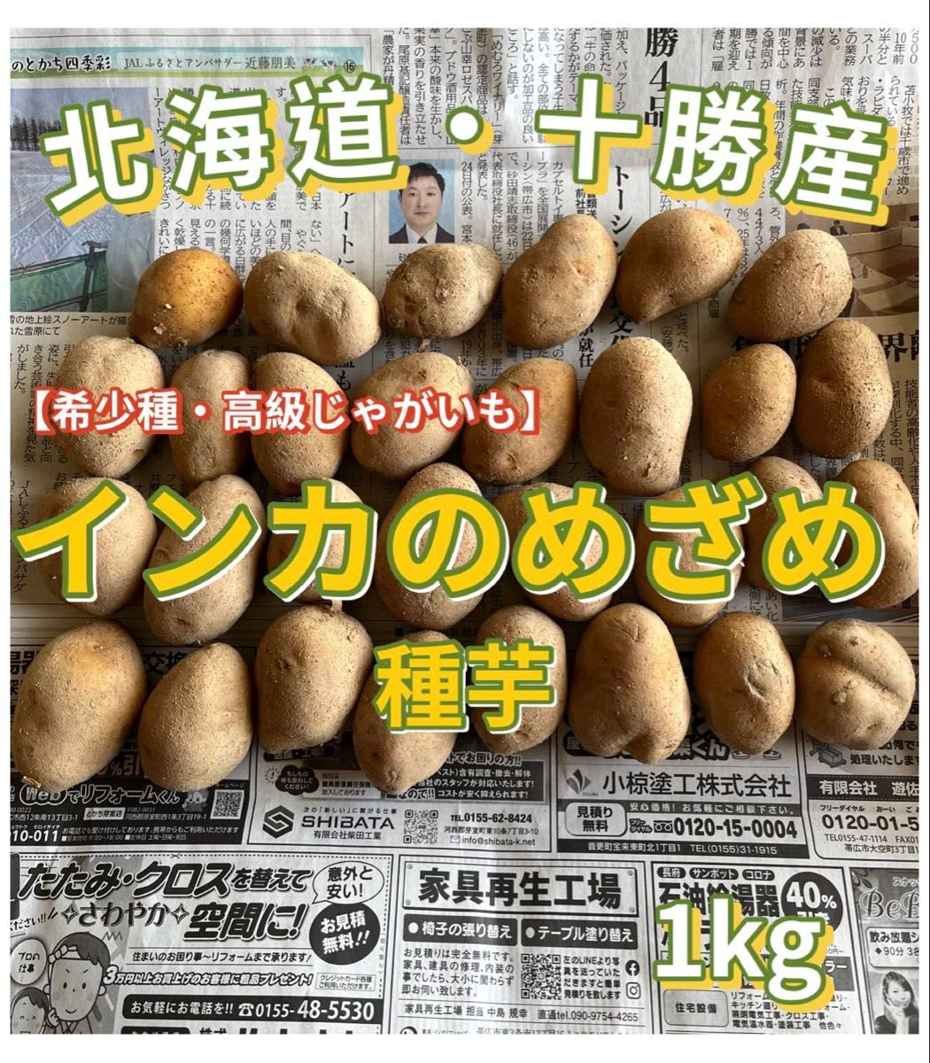 北海道・十勝産 インカのめざめ 種芋 1kg 1045｜Yahoo!フリマ（旧