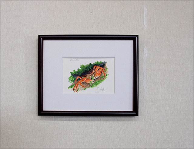 水彩画 生物細密画「サワガニ」 真作｜Yahoo!フリマ（旧PayPayフリマ）