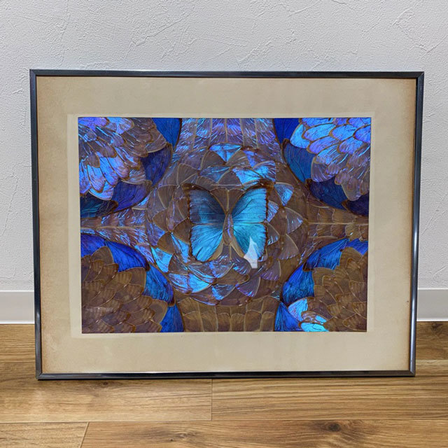 Yahoo!オークション - モルフォ蝶 蝶画 羽根細工 蝶羽アート インテリ