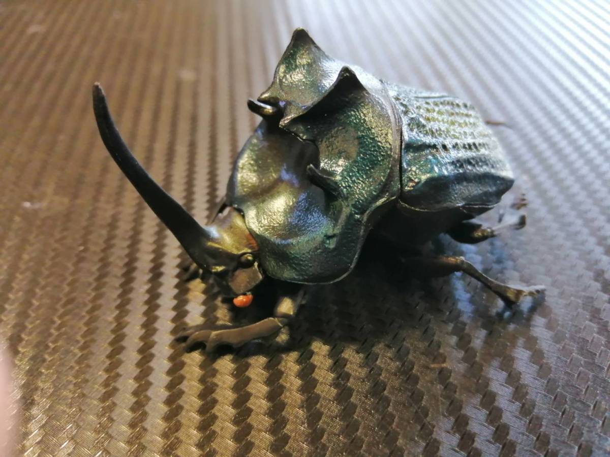 Yahoo!オークション - エンシフェルオオニジダイコクコガネ （紺） SO-