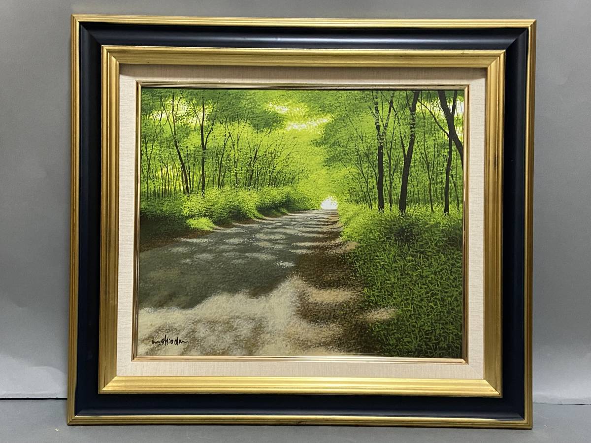 油絵p-10号SL 塩田満男一枚の檜日仏現代美術展金賞