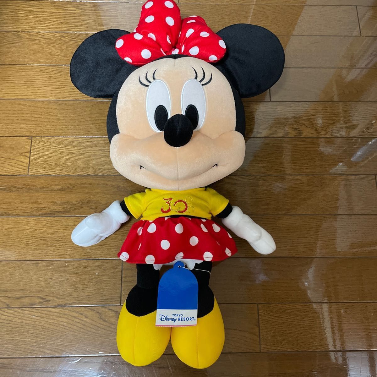 東京ディズニーリゾート30周年 ミッキー＆ミニーぬいぐるみ 未使用品