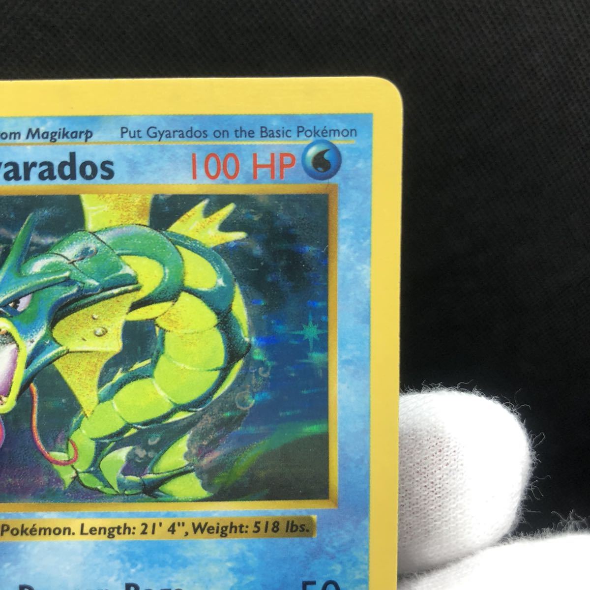 ポケモンカード 英語版 旧裏 ギャラドス シャドーレス ホロ｜Yahoo