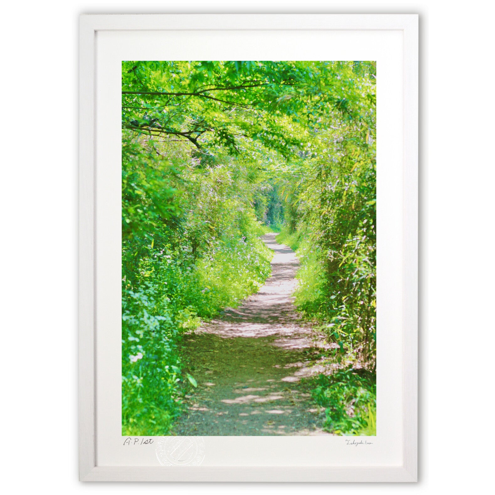 版画 絵画 緑のトンネル – 絵画や壁飾り販売｜風景投稿販売あゆわら(R)