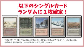 MTG マジック・ザ・ギャザリング 120％還元！ あずきみ 2万円 福袋