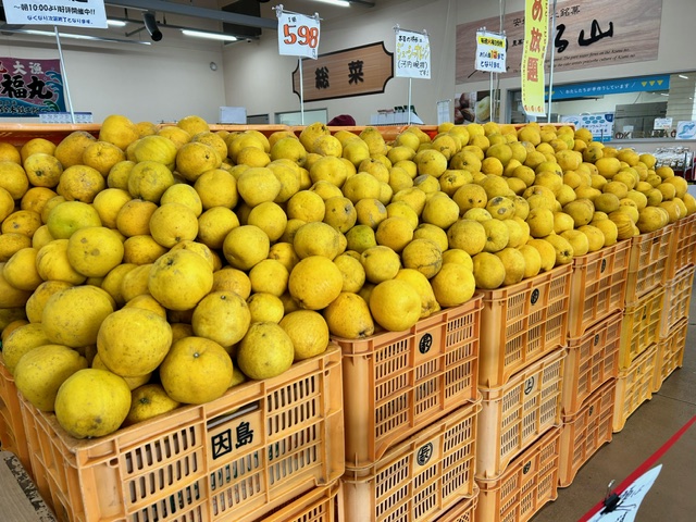 詰め放題開催！！ – 安曇野ハイジの里公式ブログページです