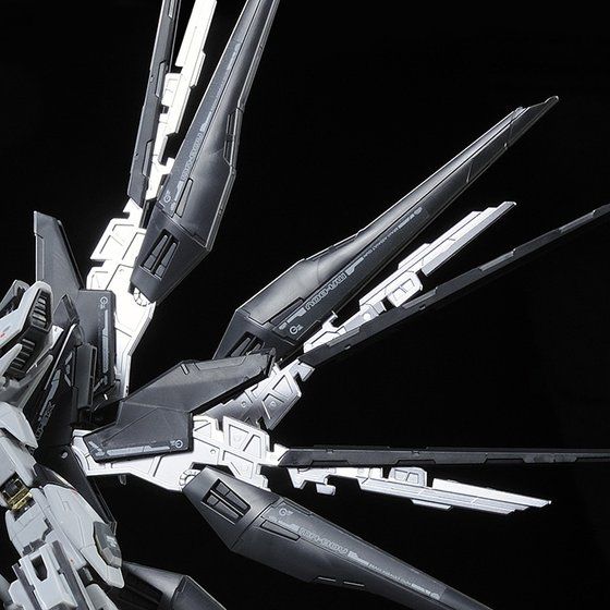 RG 1/144 ストライクフリーダムガンダム ディアクティブモード【再販