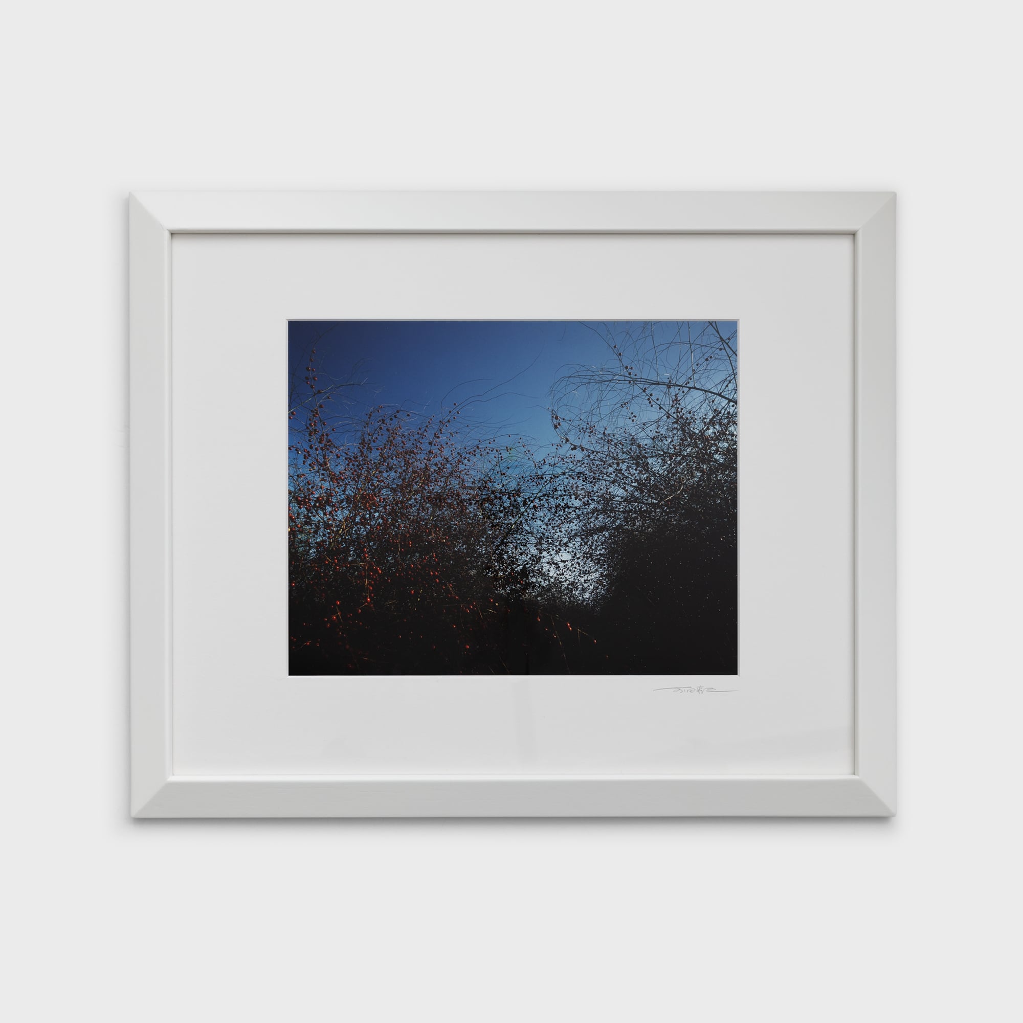 前田真三額装写真「絵模様」白木額〈展示品／直筆サイン入〉 | 拓真館