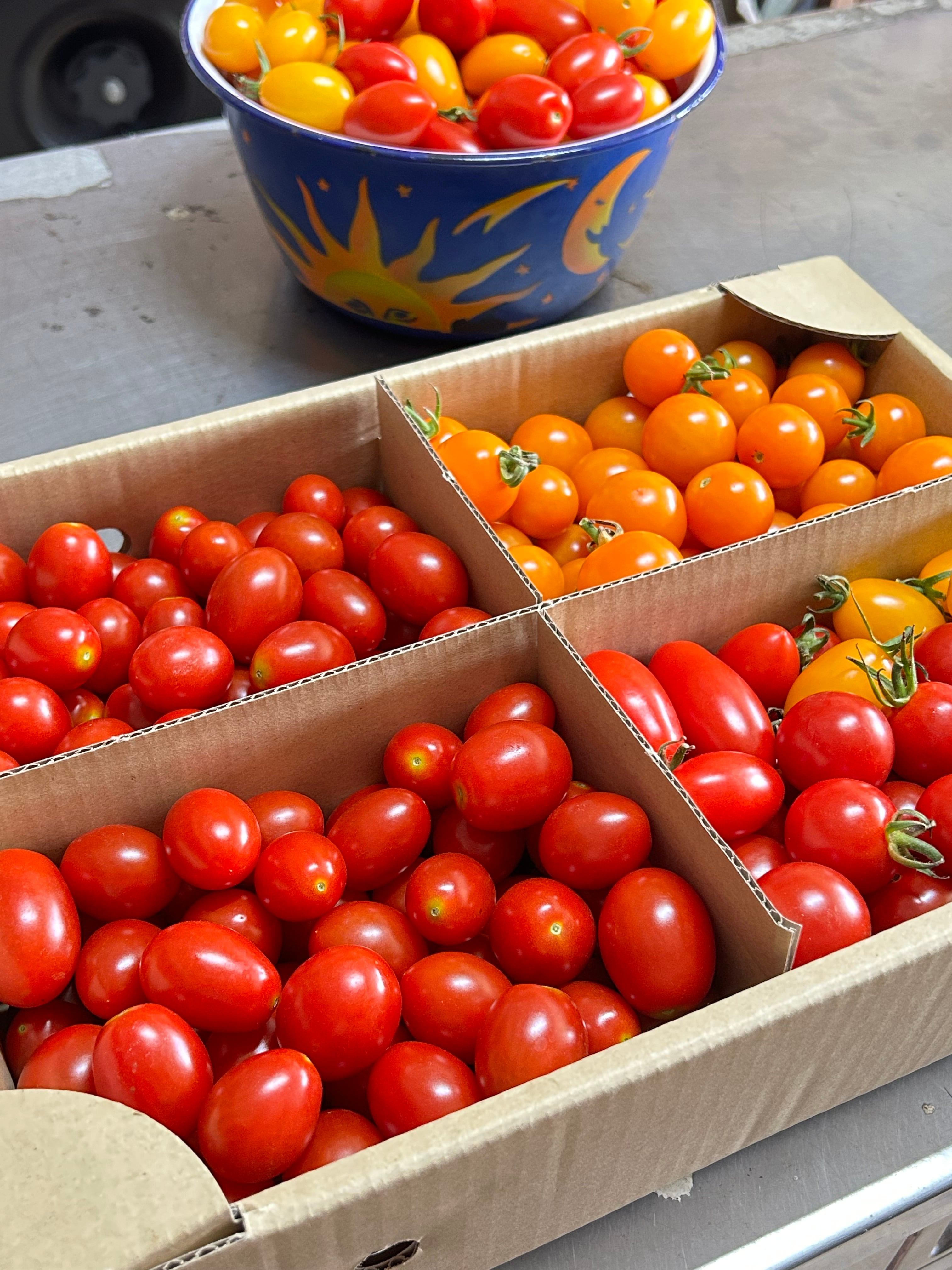 オーガニック】ミニトマトMIX 2kg 北海道産 甘く食べやすくおやつにも