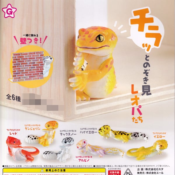 ヒョウモントカゲモドキ ハイイエロー （チラッとのぞき見 レオパたち