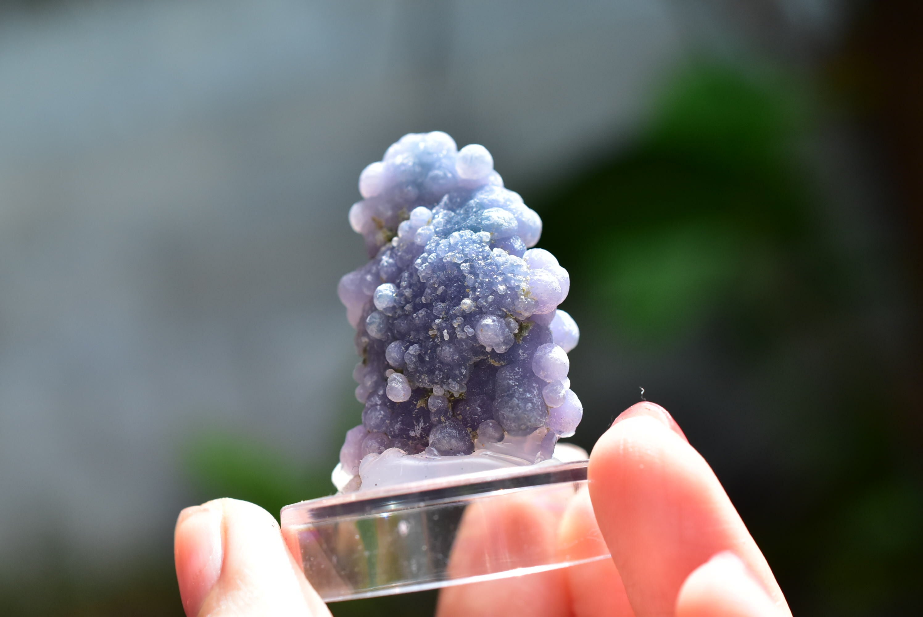 グレープカルセドニー （アゲート） | Funky garuda Stone (ファンキー