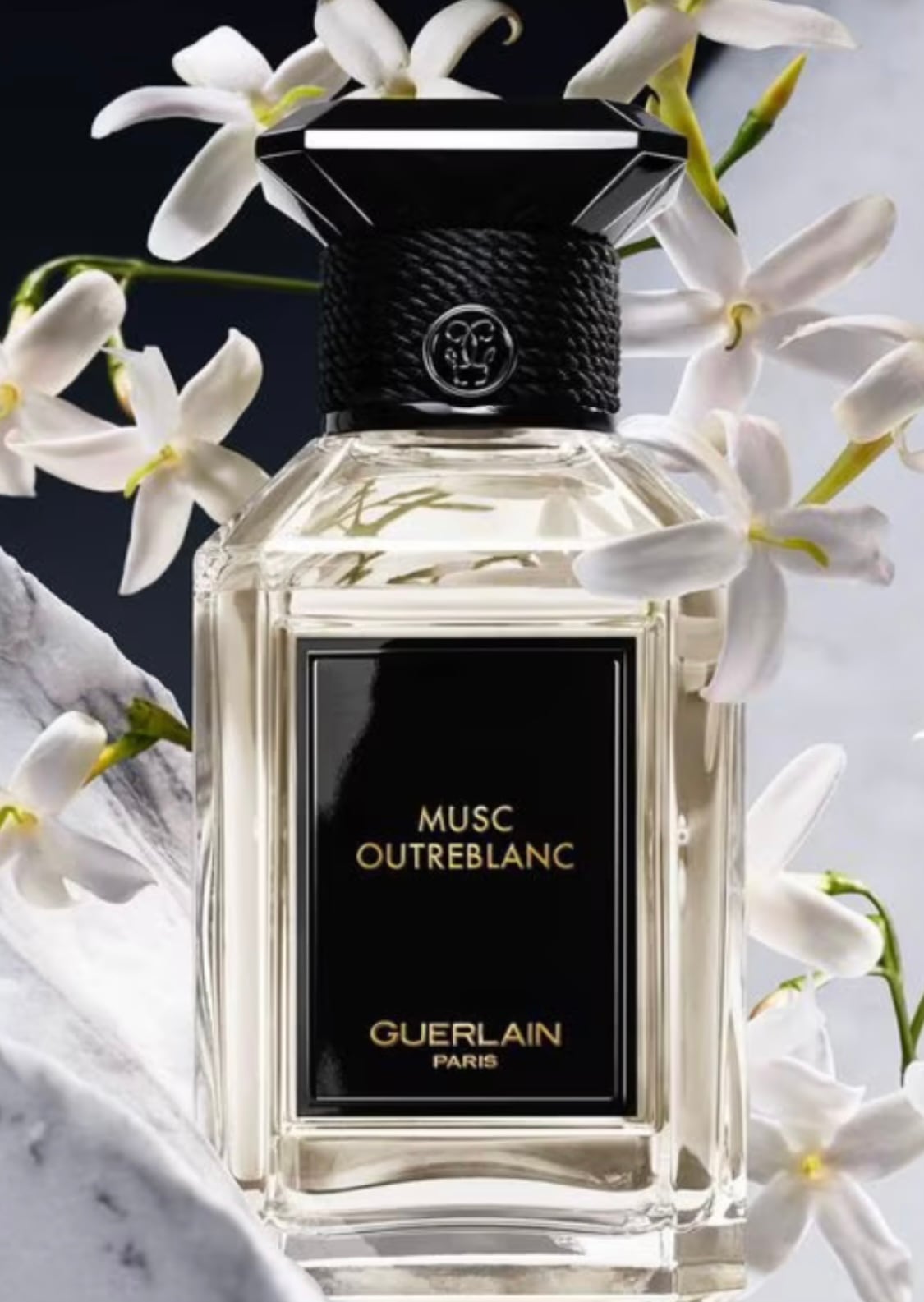 GUERLAIN ゲラン ベルガモット ファンタスティコ エクストレ 11 香水