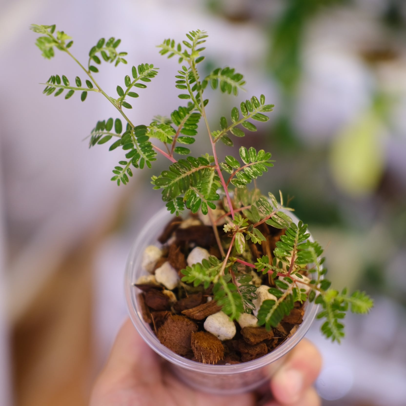 6a838330480cc9b09e116268a9b534