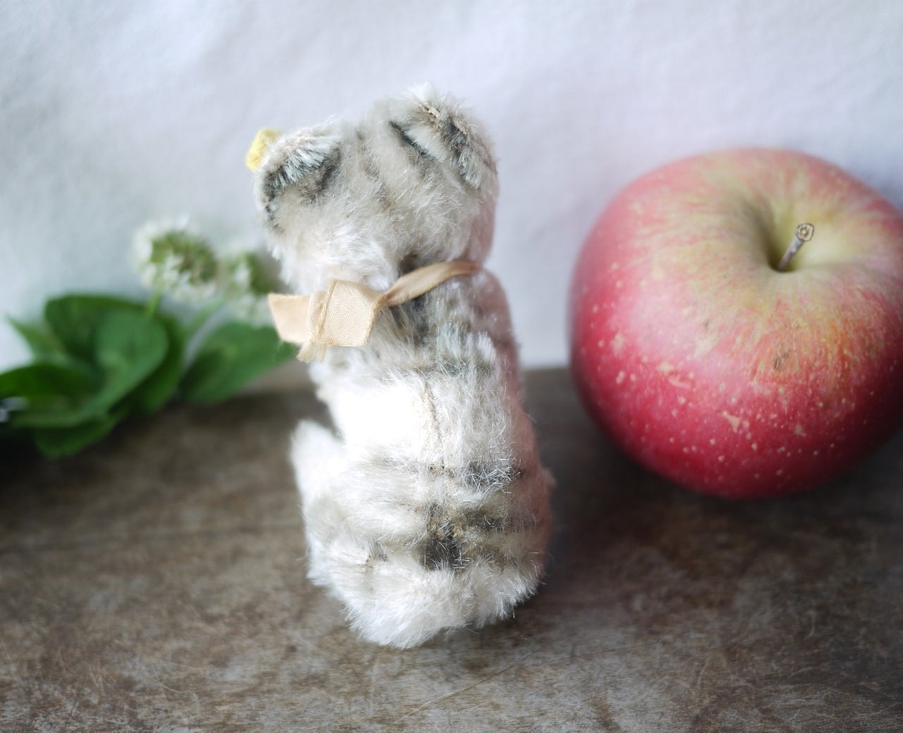 シュタイフ Susi Katze ネコのスージー | こりすのパン屋Base店 （世界