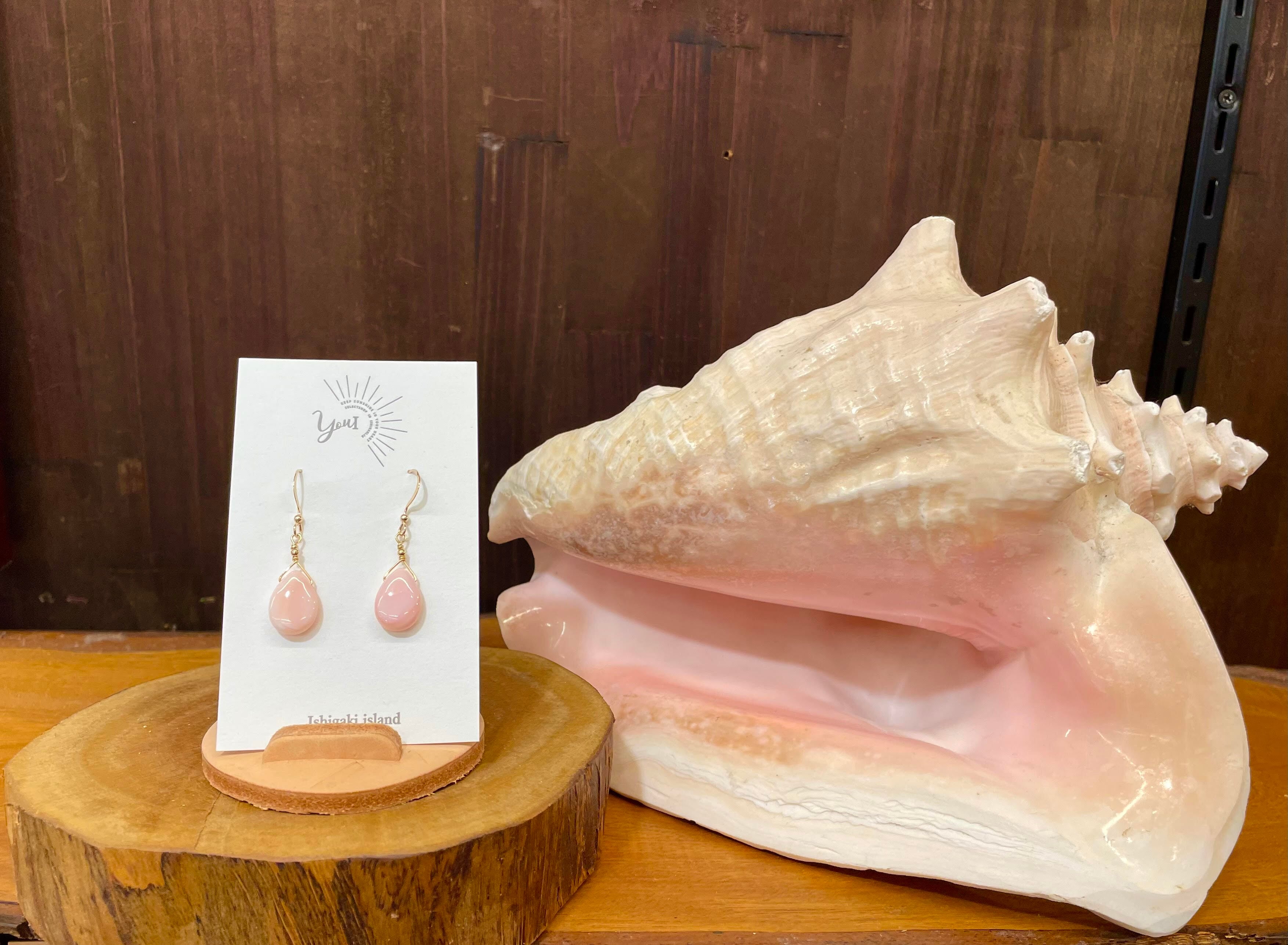 コンク貝 ピアス | 石垣島 セレクトショップYoul