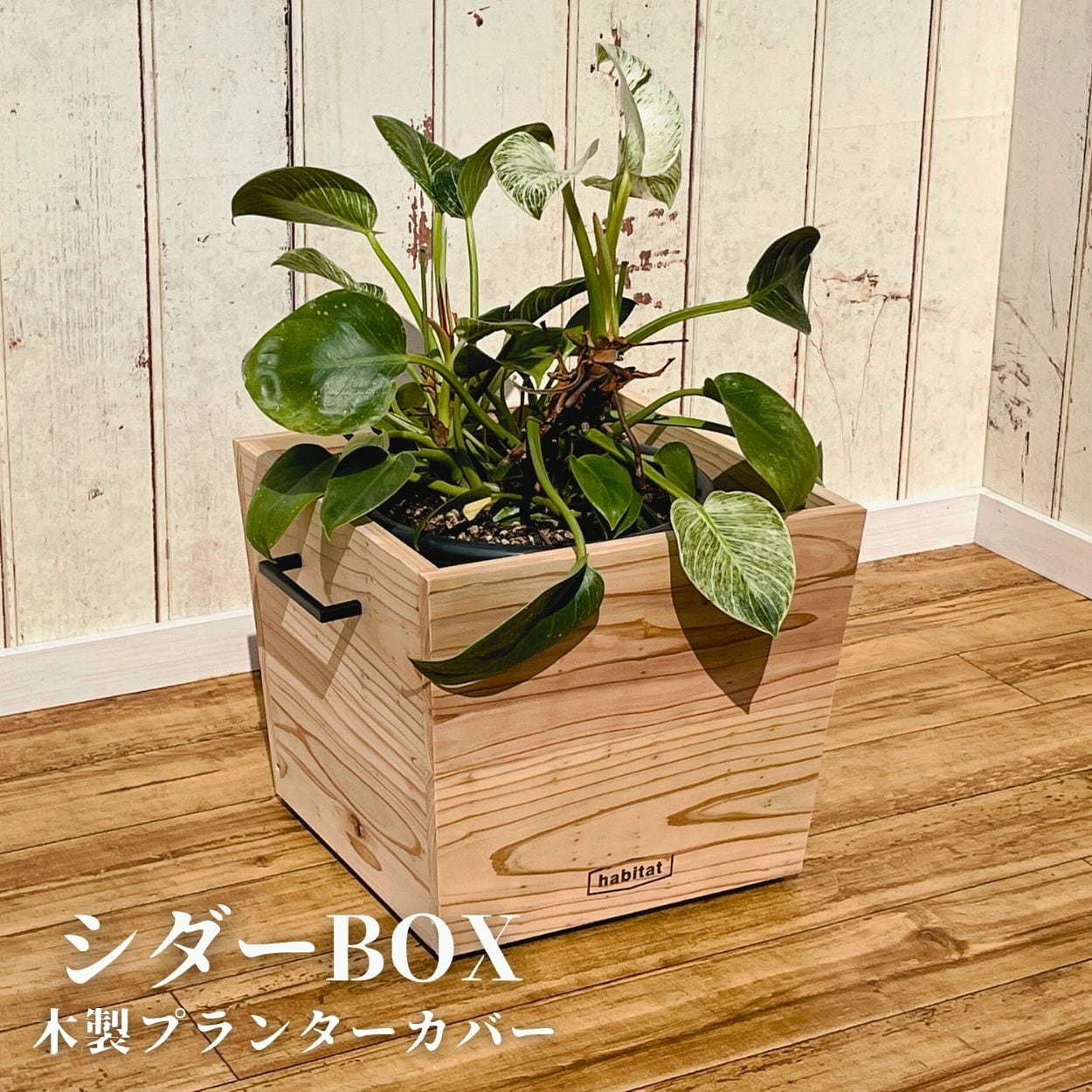 送料無料】シダーBOX(木製プランターカバー) 宮崎県産杉使用 | 川﨑